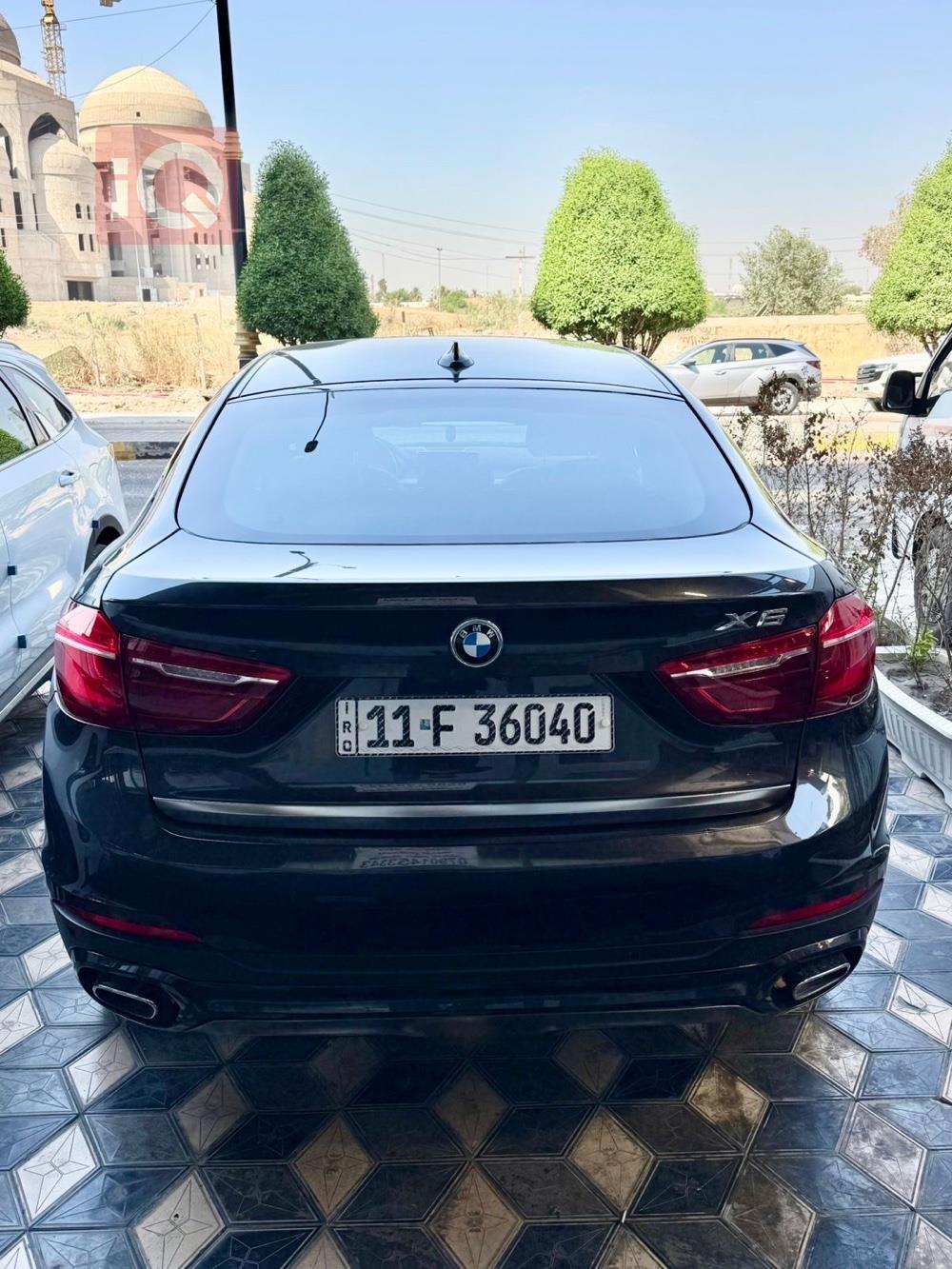 BMW X6